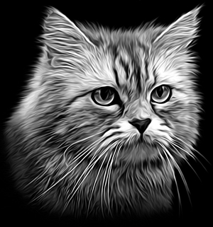 Кошка - картинки для гравировки