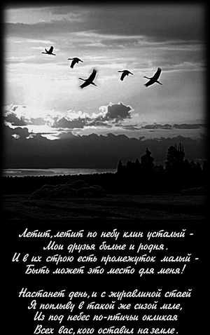 Журавли - картинки для гравировки